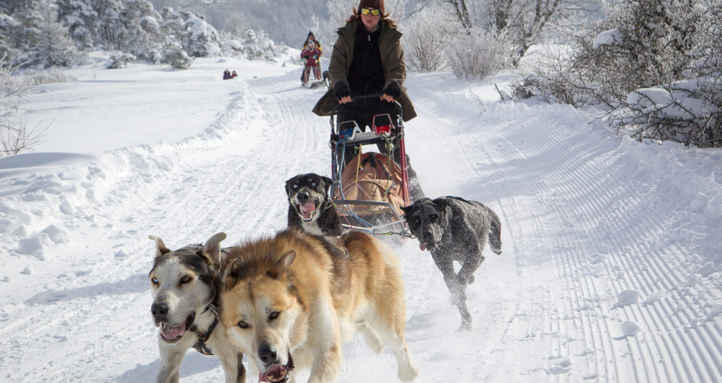 Activités sportives dans la Drôme - Musher et chiens de traîneau dans la Drôme