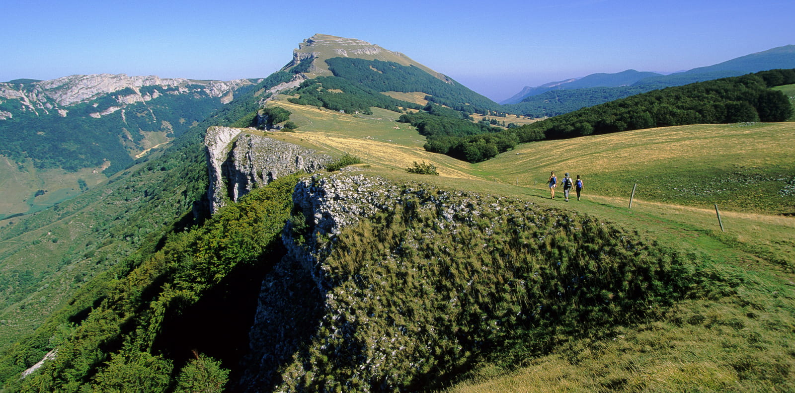 Randonnée sur le plateau d'Ambel dans le Vercors - Top des spots nature de la Drôme