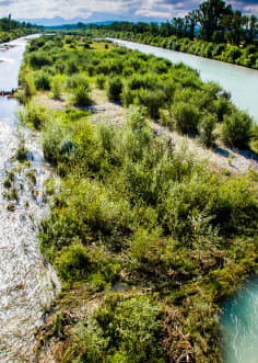 rivière et pierrier de la reserve naturelle des Ramières