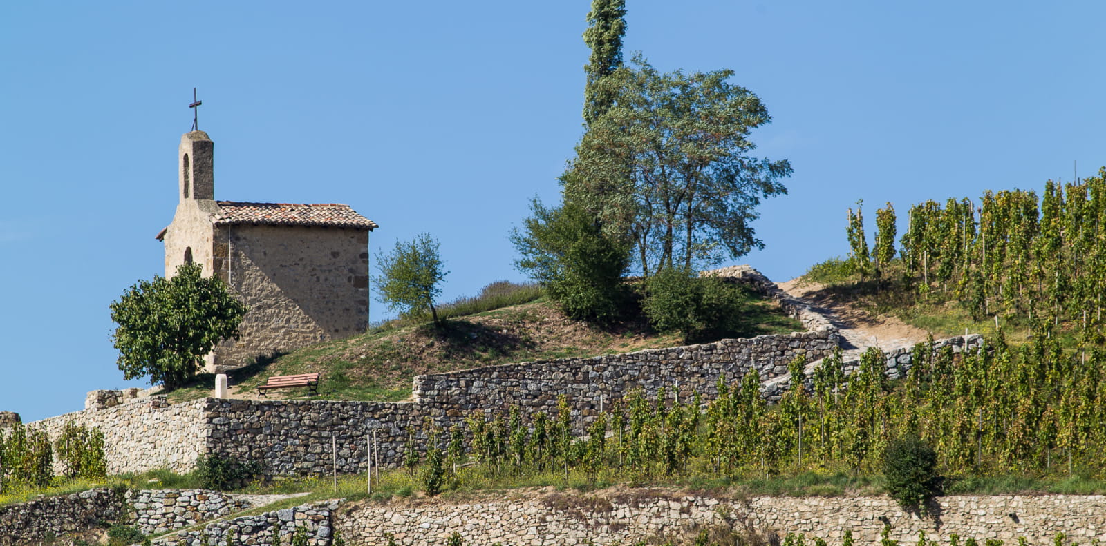 Une chapelle au milieu des vignes