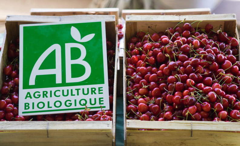2 plateaux de cerises AB