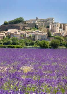 Grignan, village et château perchés sur une colline, surplombant un champ de lavande en fleurs