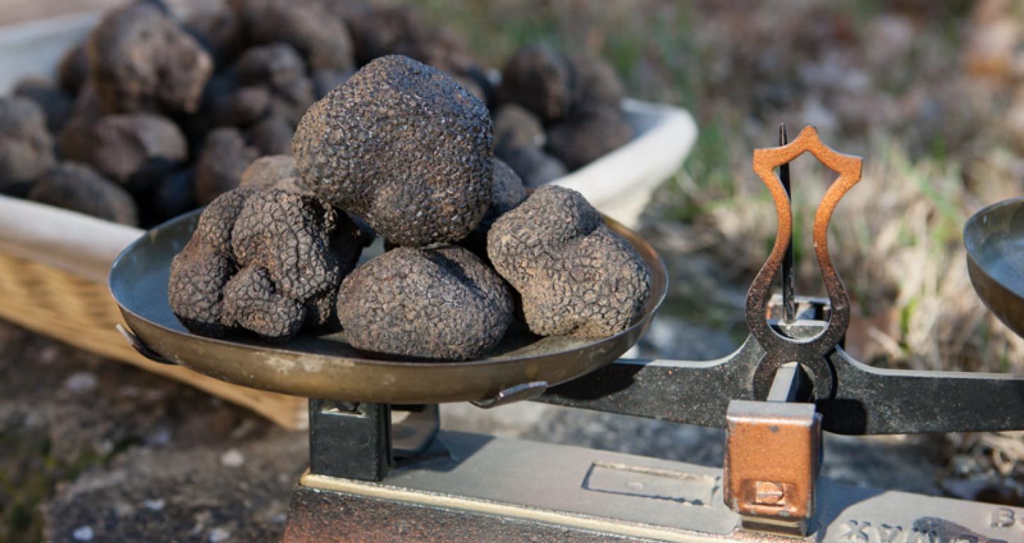 balance à plateaux avec des truffes