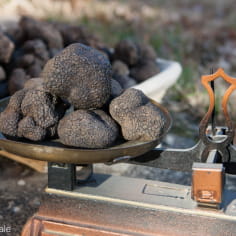 balance à plateaux avec des truffes