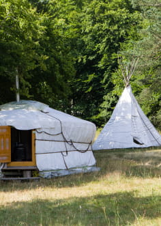 yourte et tipi dans une clairière