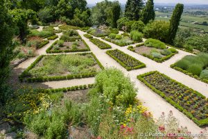 lejardin aux herbes du village perché de la Garde -Adhémar dans la Drômer