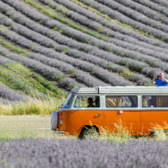 van-lavande-automne