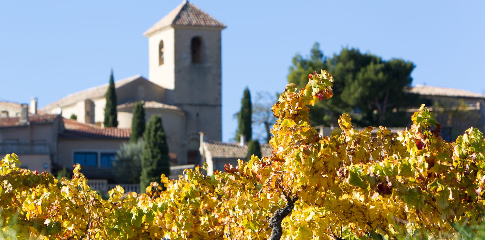 Vinsobres à l'automne