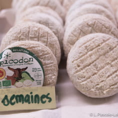 fromage de chèvre tout rond, le picodon