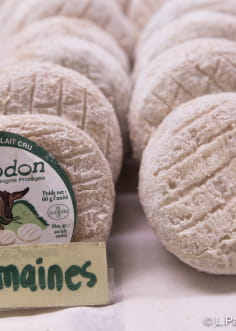 fromage de chèvre tout rond, le picodon