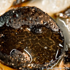Lamelle de truffe noire de la Drôme avec un filet d'huile d'olive