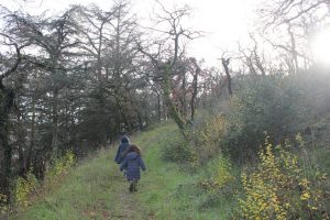 ESO Domaine de la Ronceraie