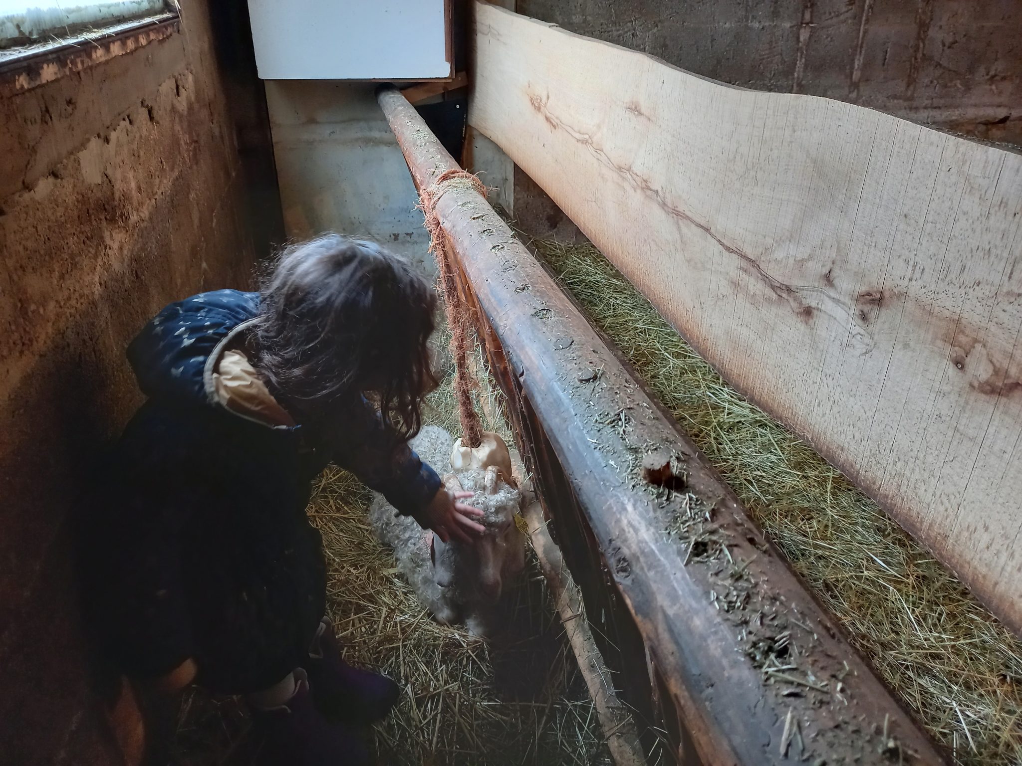 Mohair du Vercors