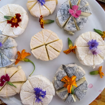 fromages Drôme