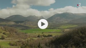 Paysages drômois