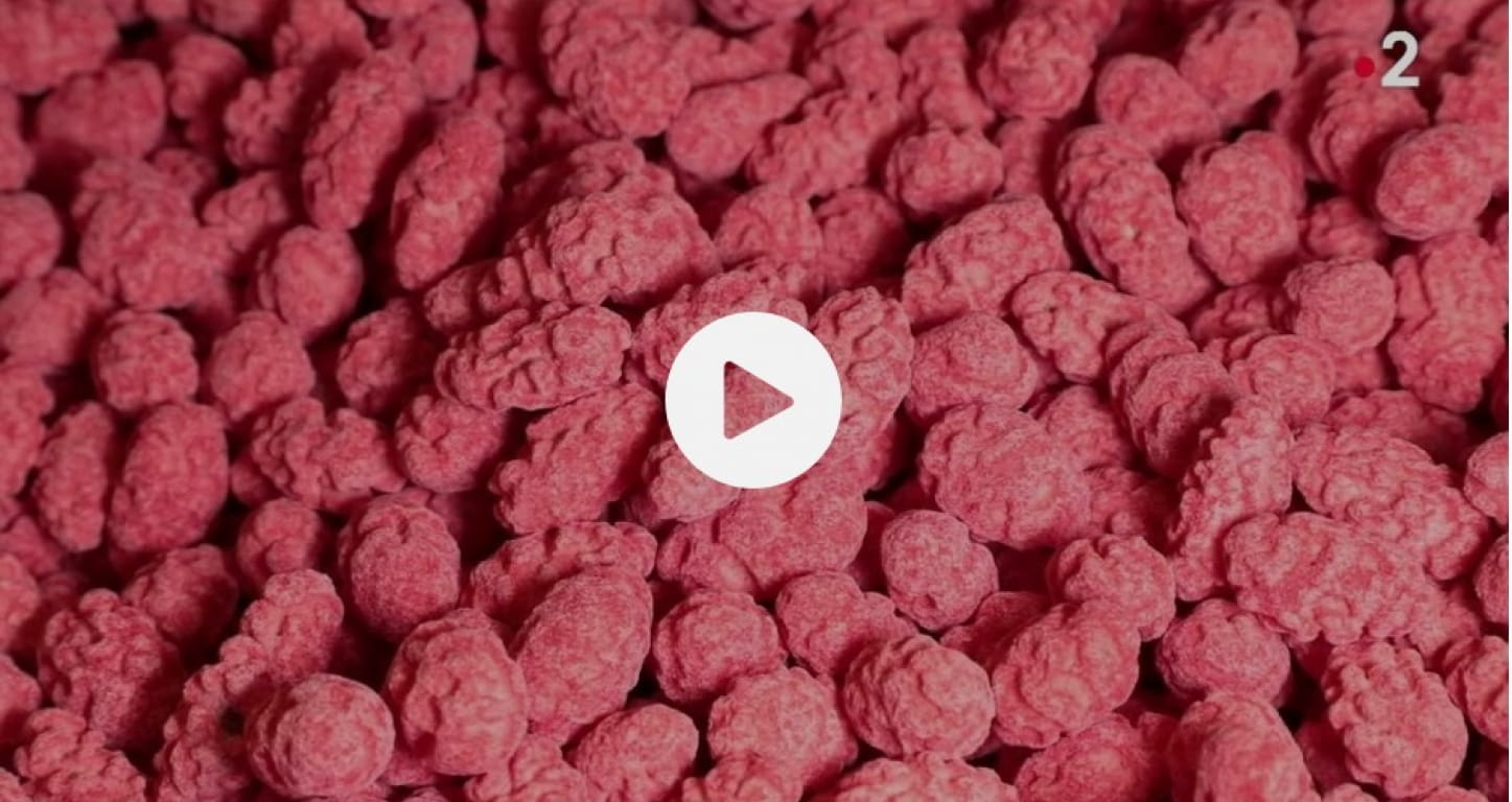 Les pralines roses de Valence dans la Drôme