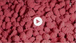 Les pralines roses de Valence dans la Drôme