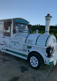 Petit train des vignes à Tain l'Hermitage dans la Drôme
