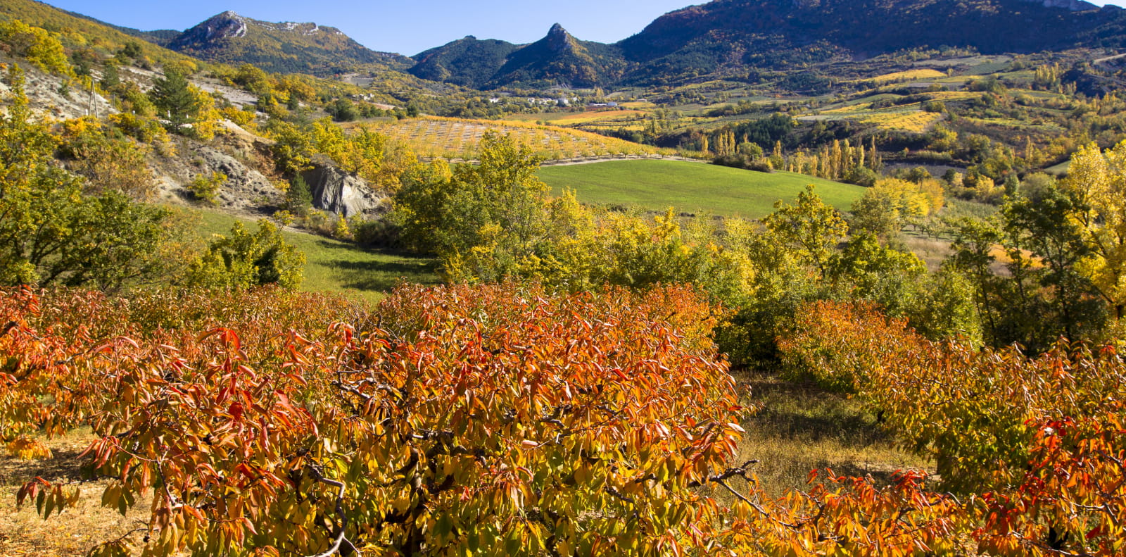 Vallée de l'Ennuyé dans la Drôme à l'automne