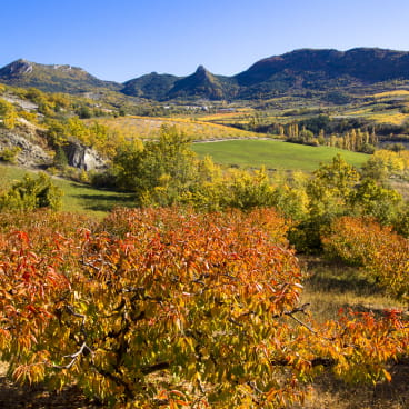 Vallée de l'Ennuyé dans la Drôme à l'automne