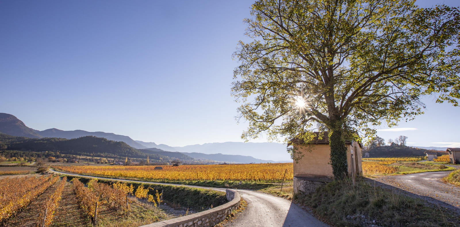 Vignobles dans la Drôme à châtillon-en-Diois