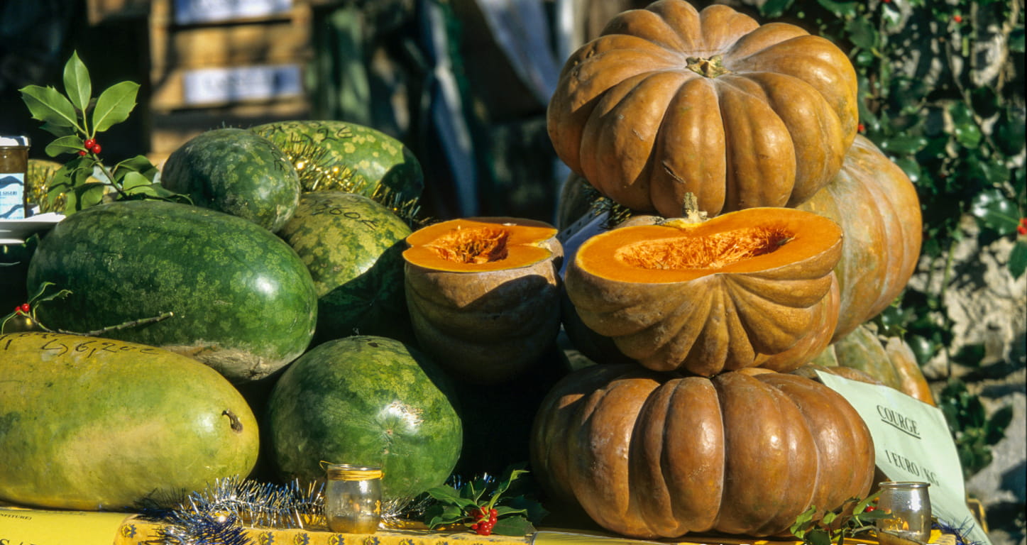 courges sur les étals de la foire aux fruits d hiver de Saoû