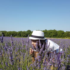 Jeune enfant respirant la lavande dans un champ de la Drôme