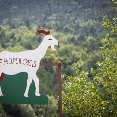 Fromage de chèvre