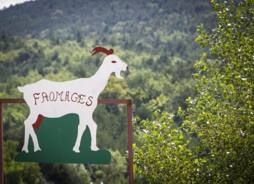 Fromage de chèvre