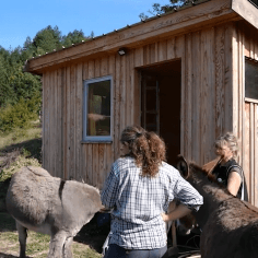 Témoignage agritourisme Ferme de Pierre Vieille