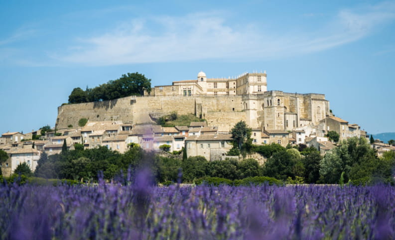 Château de Grignan vu en fond, champ de lavande
