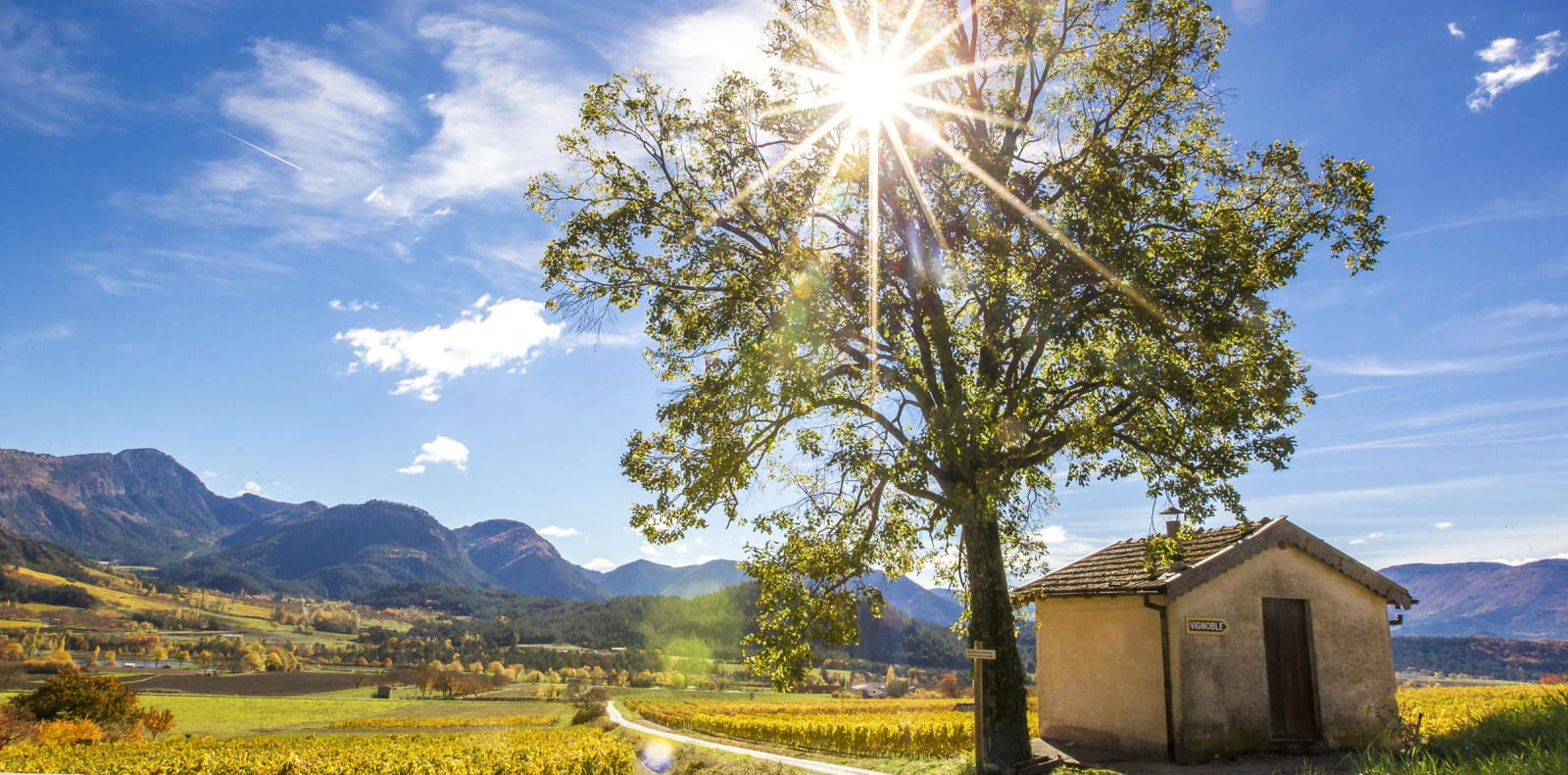 Vignobles d'automne à Châtillon-en-Diois