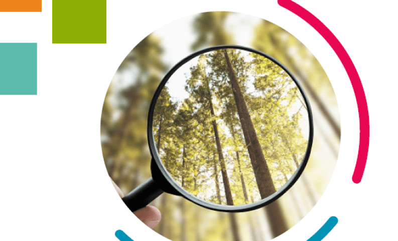 visuel guide des demarches de labellisation pour un tourisme durable