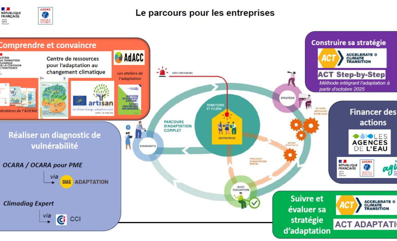 Stratégie d'adaptation au changement climatique pour une entreprise